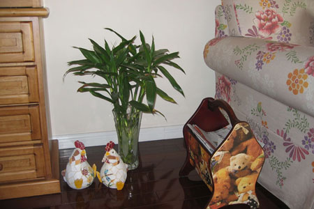 ֪����Ů��73ƽ��@��