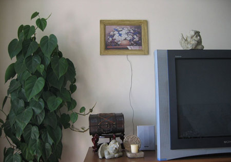 ֪����Ů��73ƽ��@��