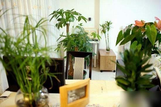 9 6萬(wàn)元裝修現(xiàn)代時(shí)尚簡(jiǎn)單家