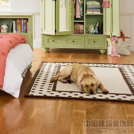 �n��ë����̺����Ů�ԼҾ��L��