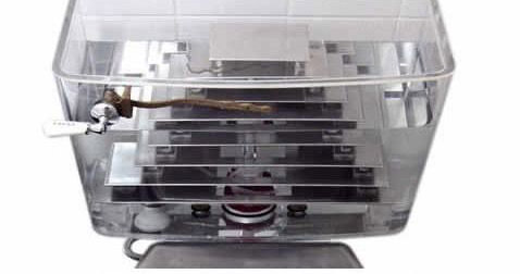 �ձ�͸���RͰ������