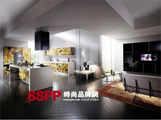 scavolini2010������Ƥ�L��