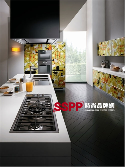 scavolini2010������Ƥ�L��