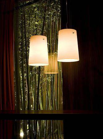 ������F������չ�F�����L��