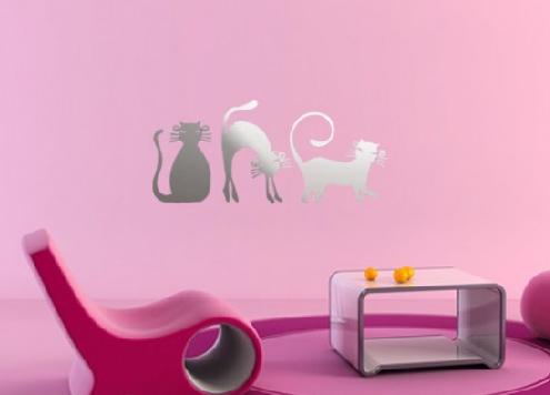 �����������R���N