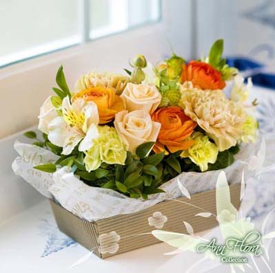 12�N�r�л��@���n�Ҿ�