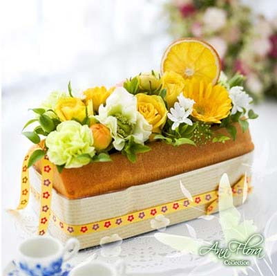 12�N�r�л��@���n�Ҿ�