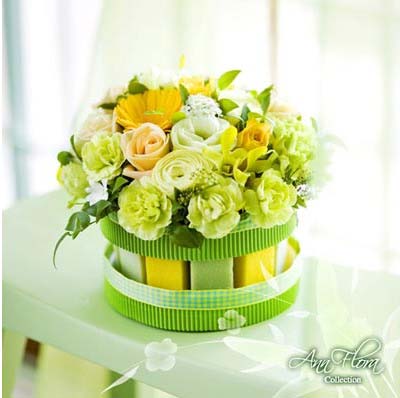 12�N�r�л��@���n�Ҿ�