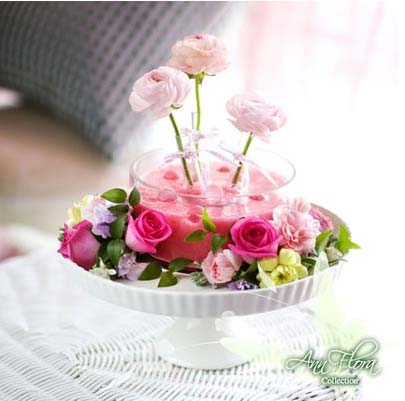 12�N�r�л��@���n�Ҿ�