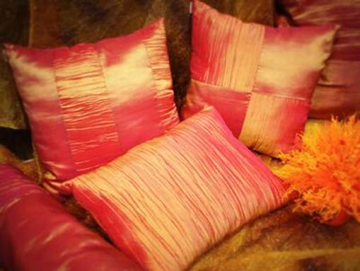 ��ɫ��ˇ�����ܰl(f��)��ļҼ�Ʒ