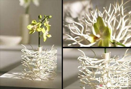 ���x���⻨ƿ��˼���Z