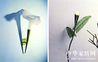 �A������׌���������