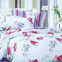 ī������