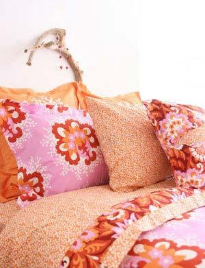 ���ձ؂������_��ɫ�ʴ�Ʒ