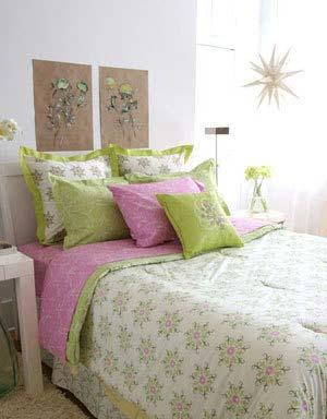 ���ձ؂������_��ɫ�ʴ�Ʒ