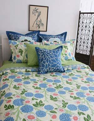 ���ձ؂������_��ɫ�ʴ�Ʒ