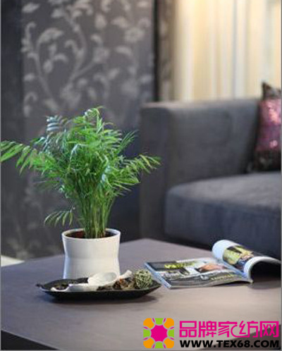 �ڰ�ɫ������{(di��o)���|(zh��)�Ҿ�