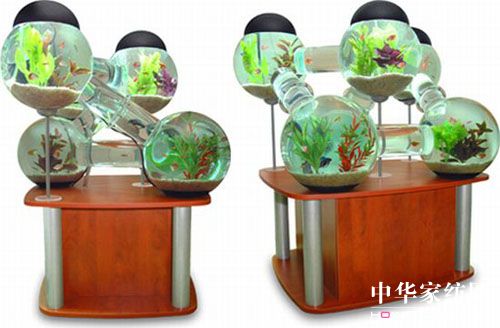 ����������Ą����~��