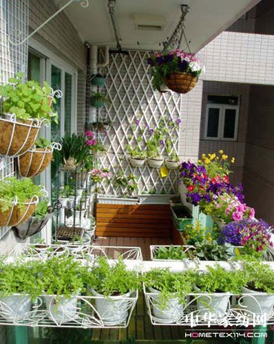 ӳ���(y��ng)�_(t��i)�e����ͯ�򻨼t