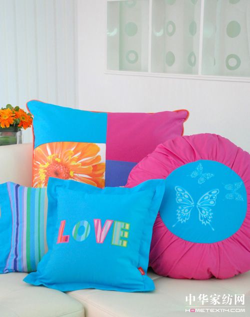 ESPRIThome2010��Ʒ�Ų�����