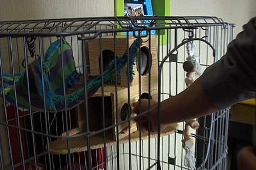 �n������"΁��"�ع�