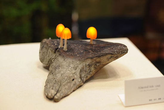 Ұ��Ģ�����c���������