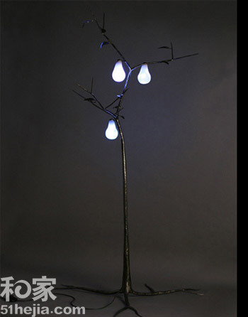 ��������c������֮ҹ