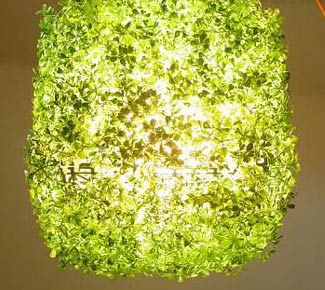 �G�ⰻȻ�ľG�ݟ�