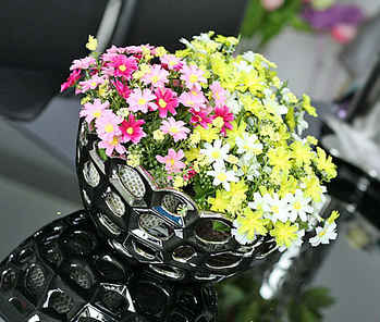 ��(d��)�߽��ĵĄ�(chu��ng)��䳲��ʳ�P