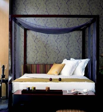 �������˵Ă��������P��