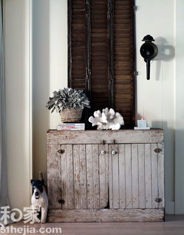 ���Լ���ɫ�����e��