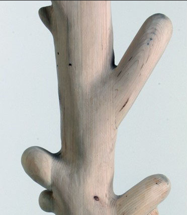 �ԿƌW���˞��`�е�ƴ�ӼҾ�