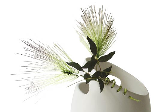 ׌��ƿ�ɞ���һ�N�b�