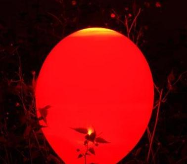 ����LED�����