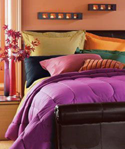 ������Ҫ����ɫ���b��Ҿ�