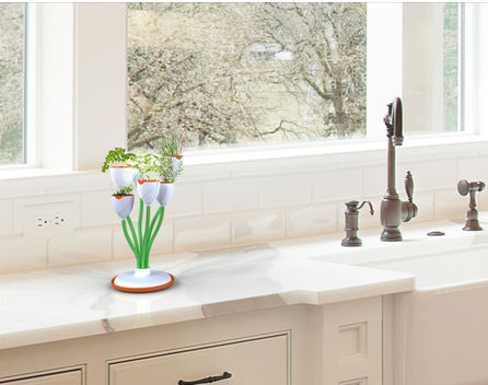 ���o����ѻ��N�ڡ�������