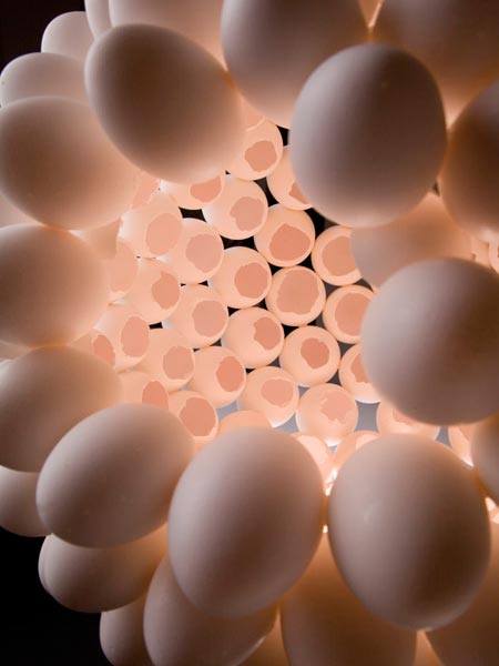 �Π��殐��˼����ĵ�����