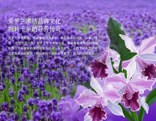 �� (t��ng)���_�m���� �������_�m����