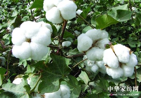 ����Ҽ�ռ���YԴ��(y��u)��