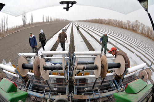 ����ľ���^�޻����N���_��Ļ