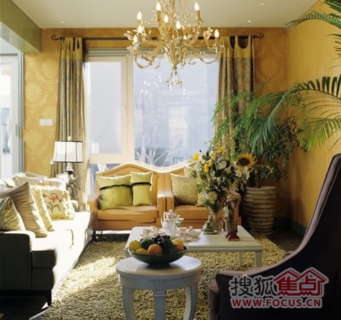 �OӋ����������m���W�L���