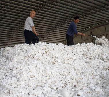 �ރr�����µ� ���޳ɟo��֮�e