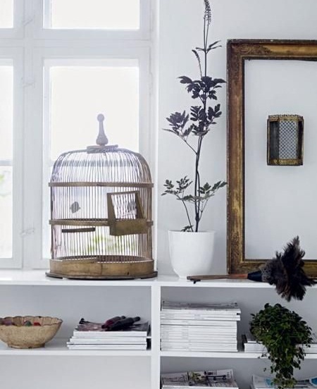 ���⵽�O�µļ��׼Ҿ�