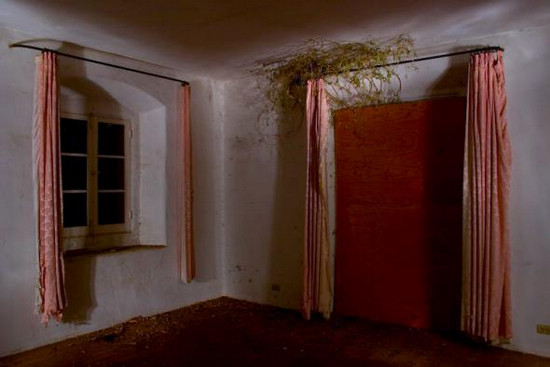 �O��ǰCEO�̲�˹�τe���ع�