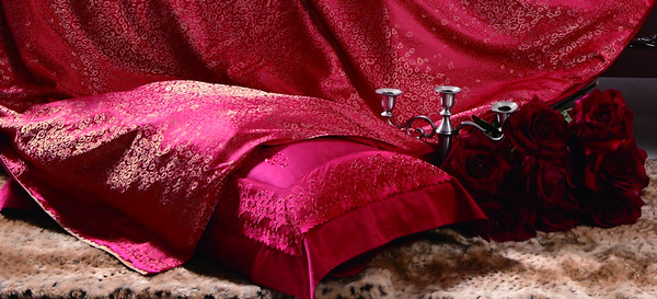 裸婚不“裸居”百麗絲打造新結(jié)婚時(shí)代