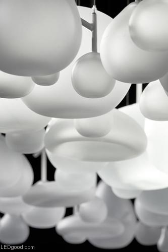 Ư���Ĳ�����ƿ����