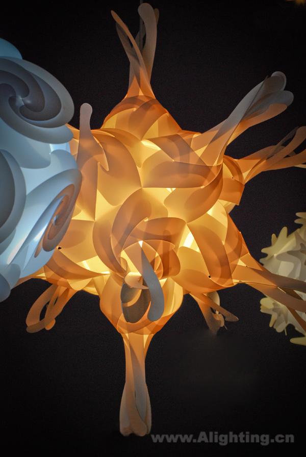 ���Ĳ˿��������߱��ŵ�����