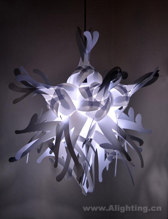 ���Ĳ˿��������߱��ŵ�����