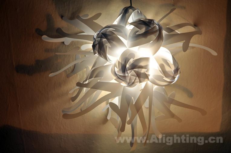 ���Ĳ˿��������߱��ŵ�����