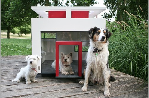 ��ጙ��Ҿ��ɻ���˼��(chu��ng)���O(sh��)Ӌ(�M�D)